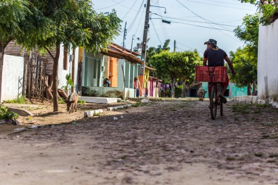 cykel o gris